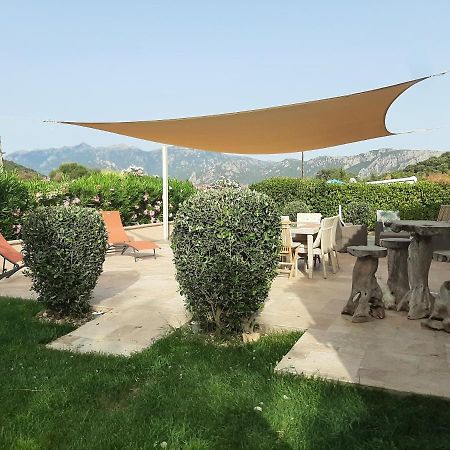 Orasi Sartène Gîte Casa Fiurita Esterno foto