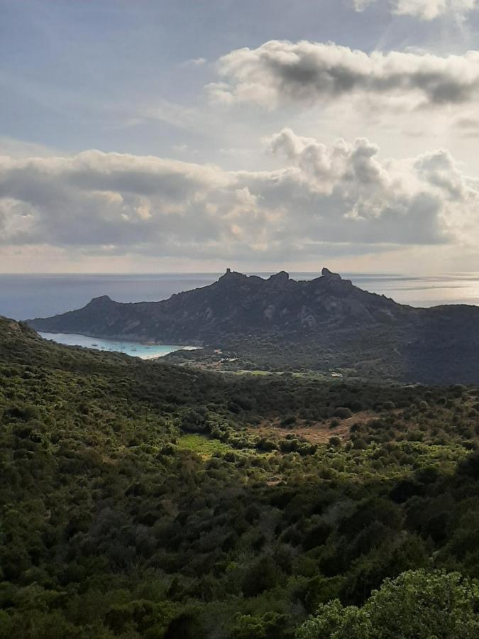 Orasi Sartène Gîte Casa Fiurita Esterno foto