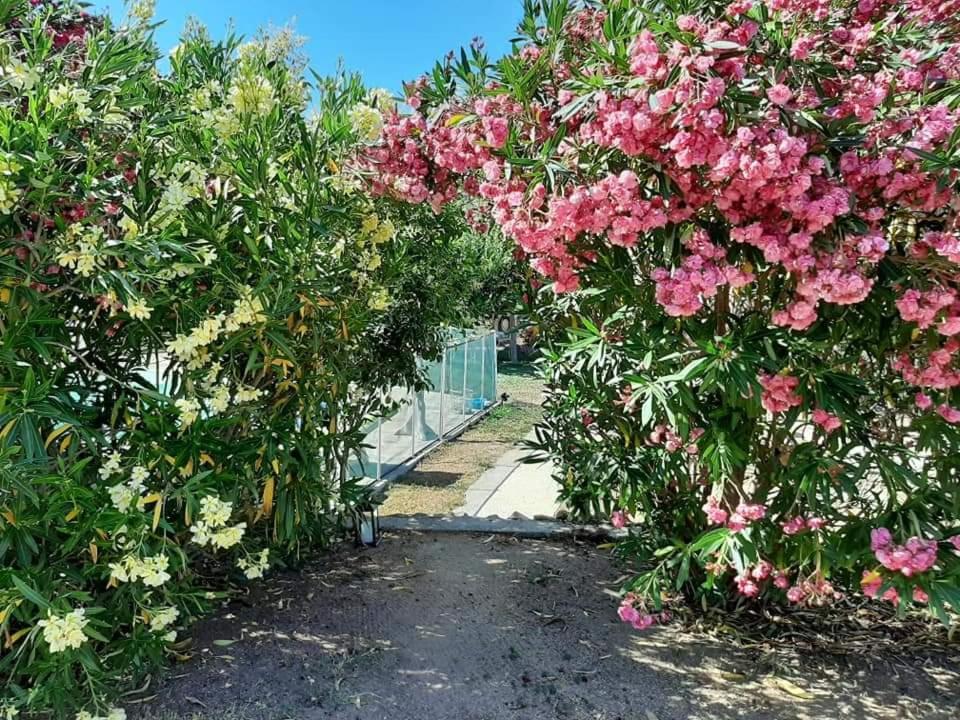 Orasi Sartène Gîte Casa Fiurita Esterno foto