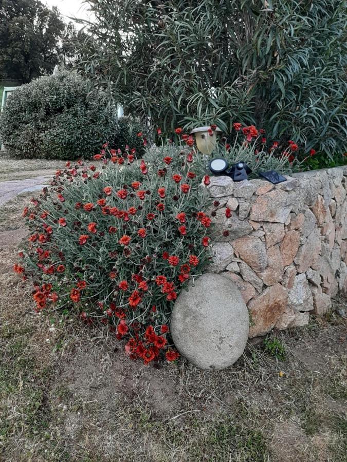 Orasi Sartène Gîte Casa Fiurita Esterno foto