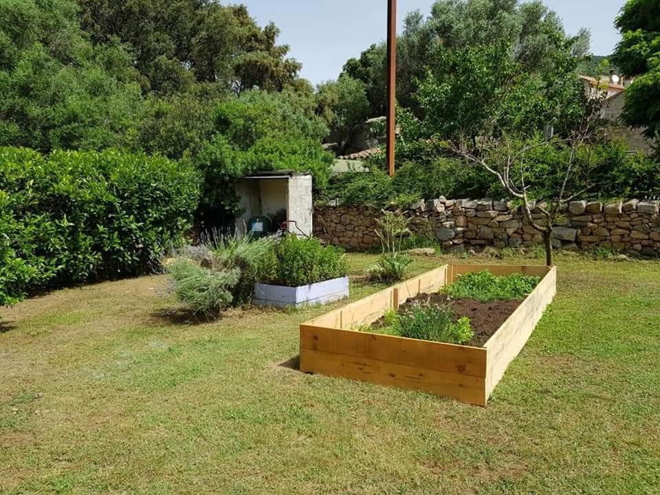 Orasi Sartène Gîte Casa Fiurita Esterno foto