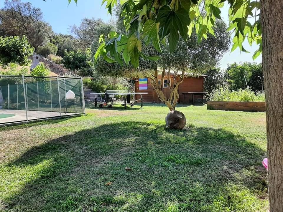 Orasi Sartène Gîte Casa Fiurita Esterno foto